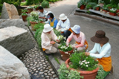 花壇グループ