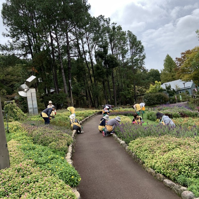 花の文化園 装飾花壇風景 花の文化園 装飾花壇 Photo 2019年10月17日